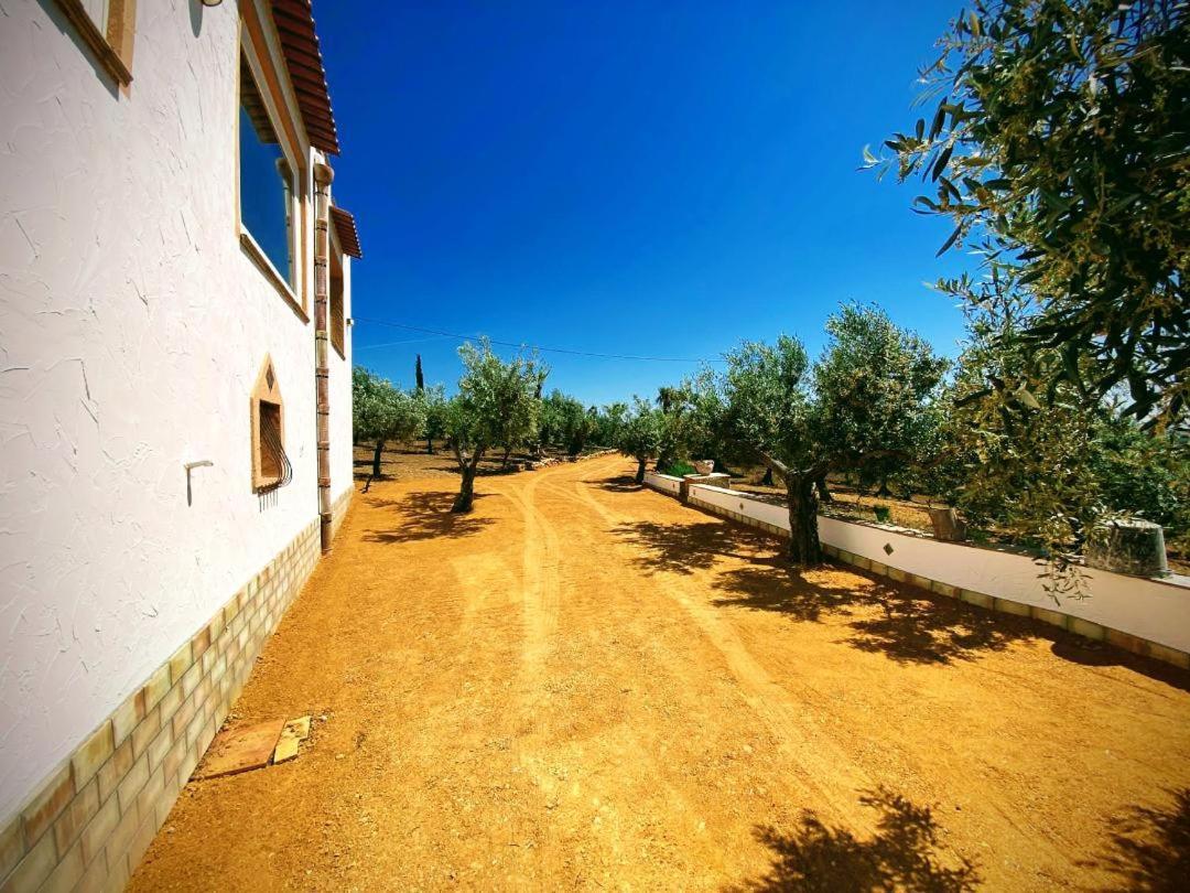 Villa Immersa In Oliveto Vista Mare Sciacca Exterior foto